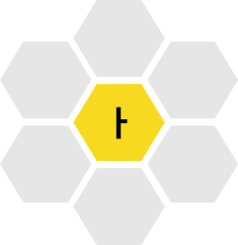 bee 6